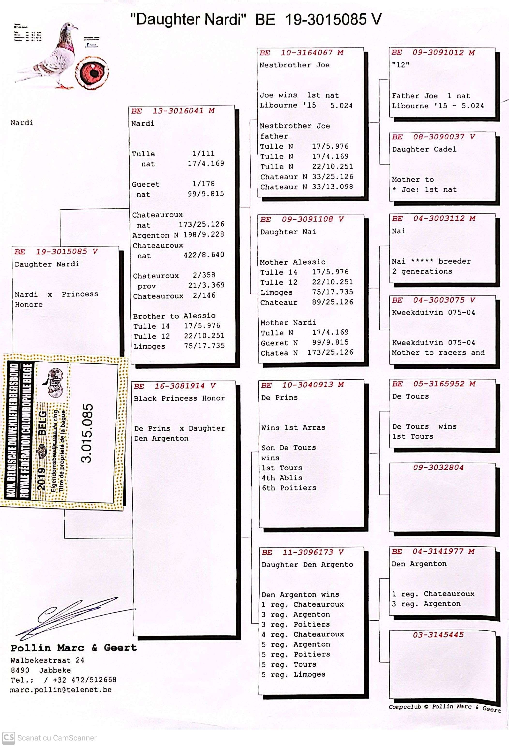 BE 3015085-19 F orig. Pollin Marc & Geert, fiica Nardi, loc 17 Nat. Tulle 4.169p.