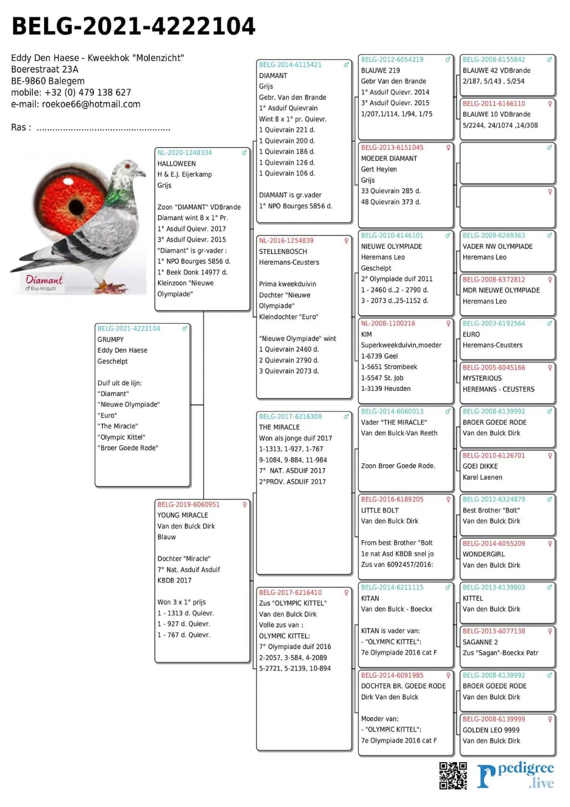 BE 4222104-21 M orig. Eddy Den Haese, nepot Diamant 8 x loc 1