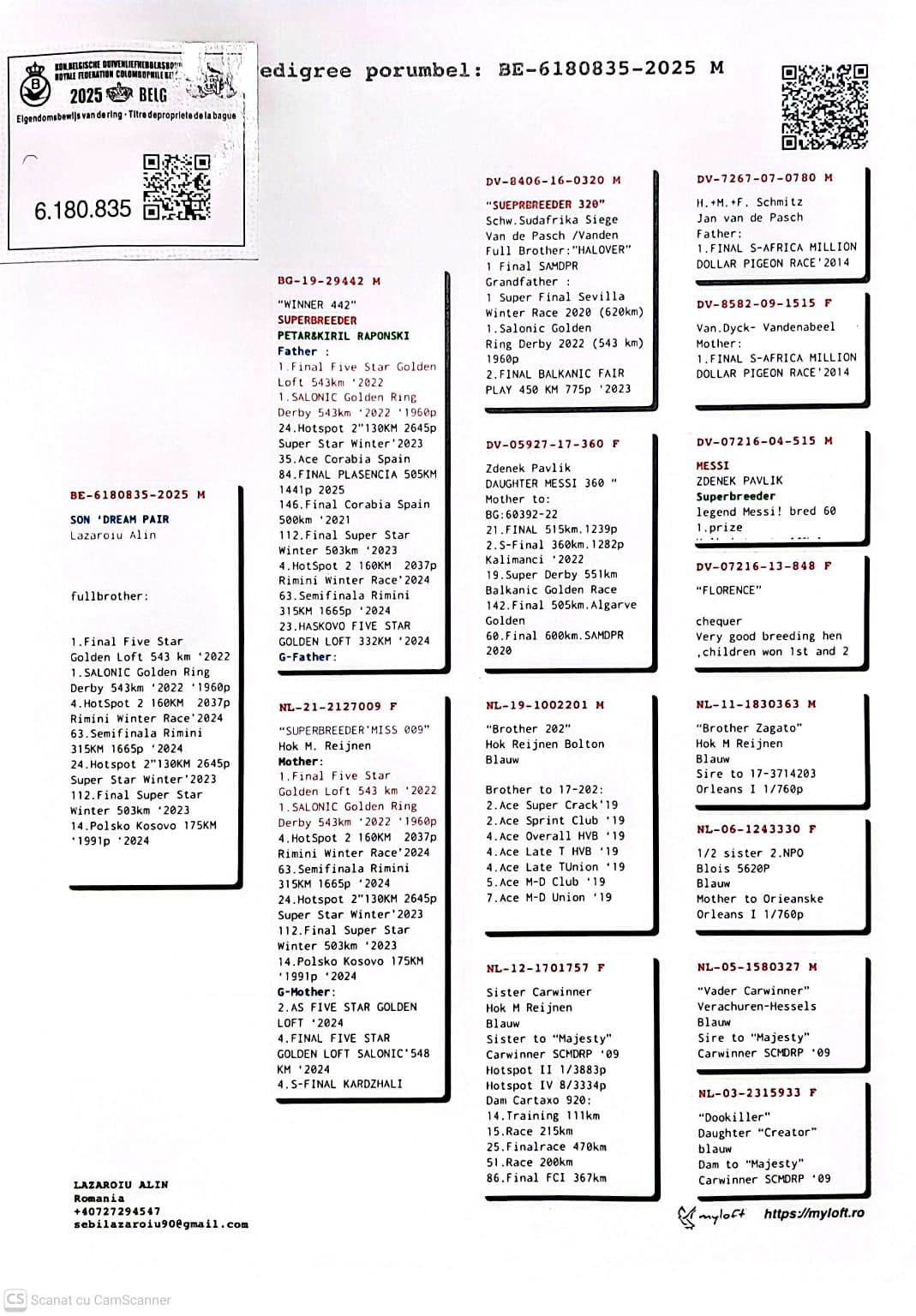 BE 6180835-25 M frate loc 1 Finala Five Star Golden Loft 543Km '22