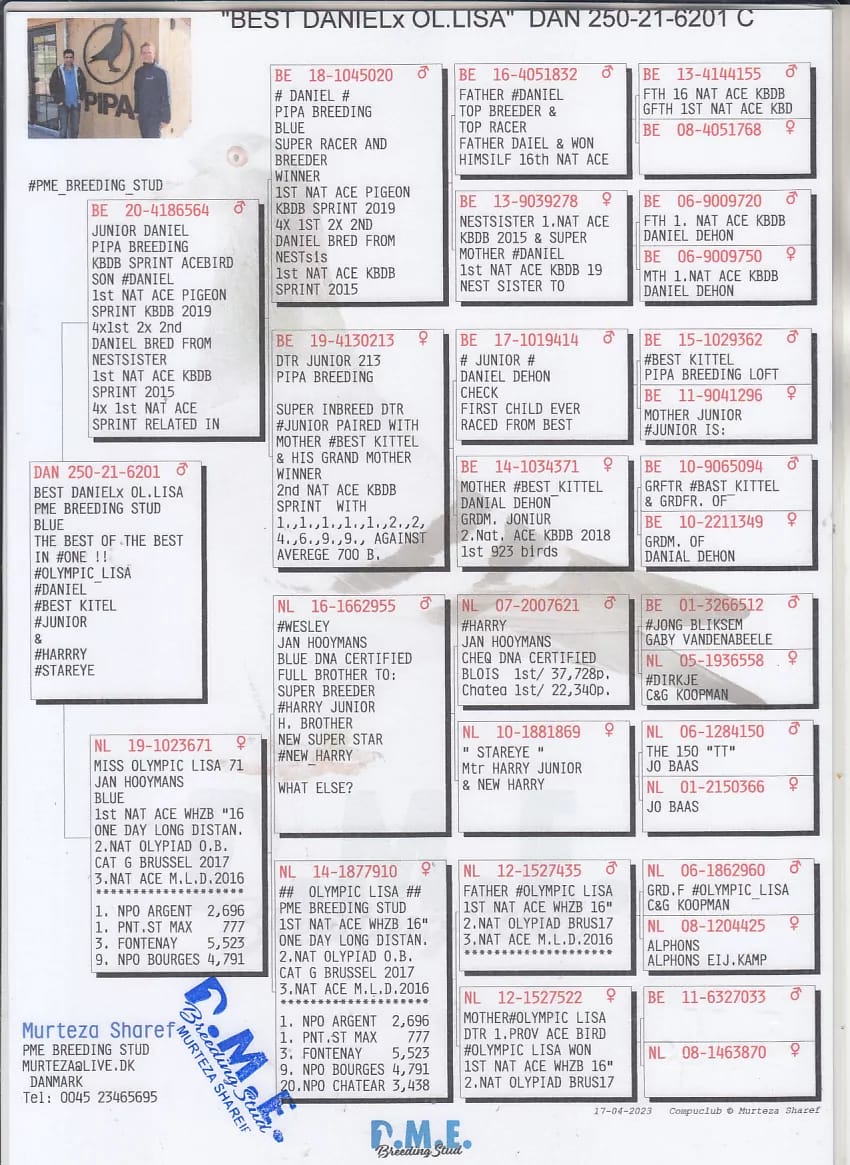 DAN 250-21-6201 M orig. Murteza Sharef, linie Olympic Lisa, Daniel, Best Kittel 