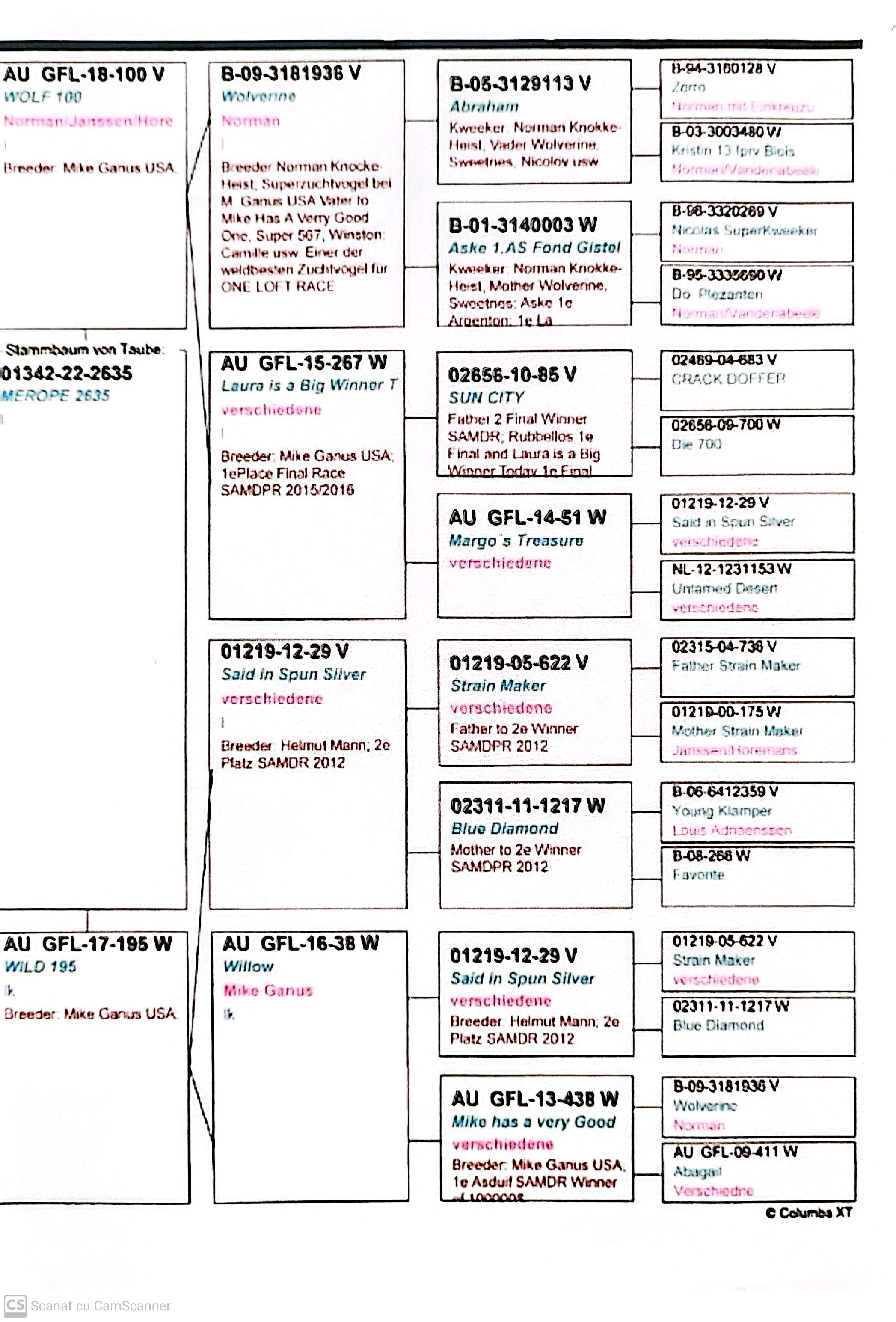 DV 1342-22-2635 M orig. Joekel Skylights, neport loc 1 Finala SAMDPR '15/'16, loc 2 SAMDR '12
