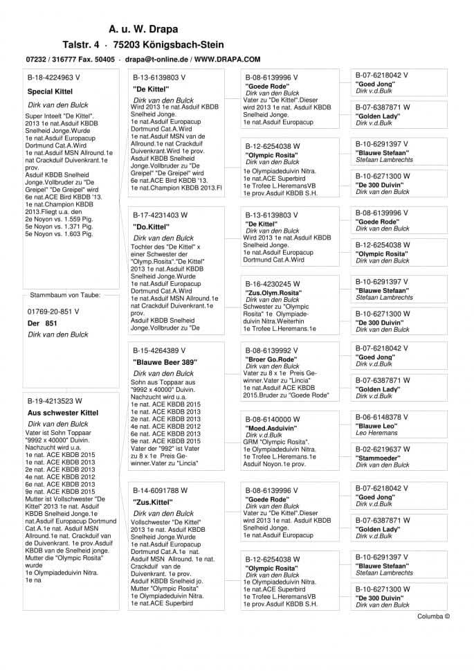 DV 1769-20-851 M orig. A.u.W. Drapa, nepot consangvin De Kittel