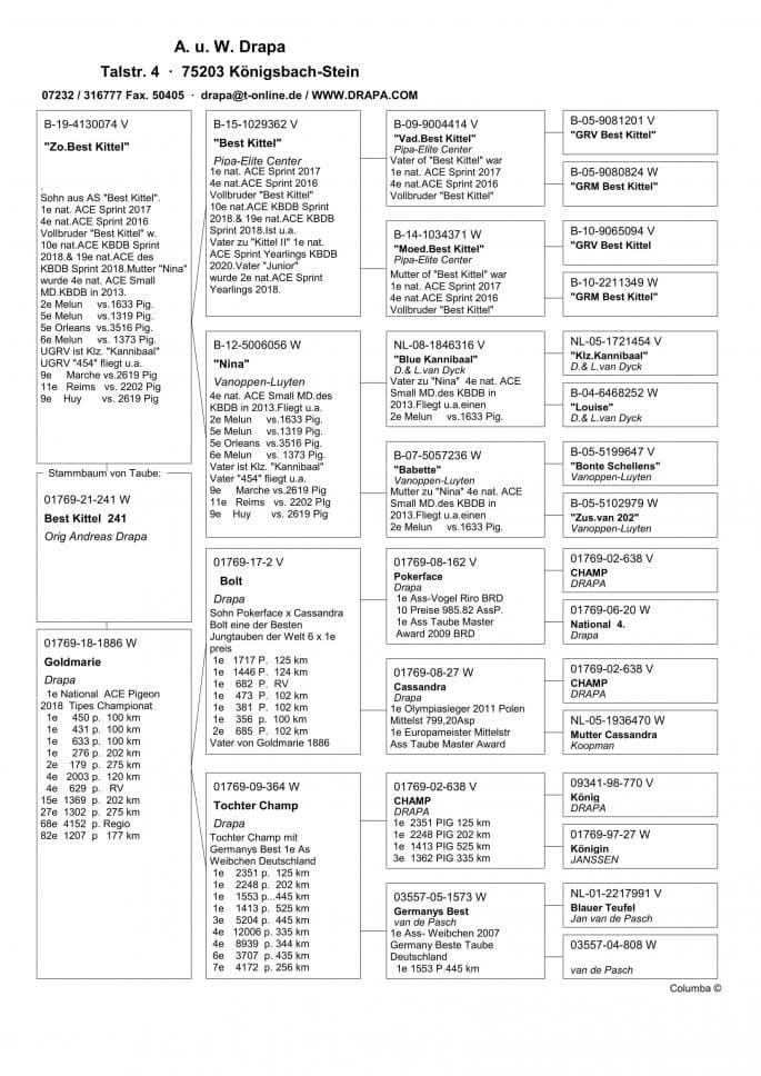 DV 1769-21-241 F orig. A.u.W Drapa, nepoata Best Kittel x Goldmarie