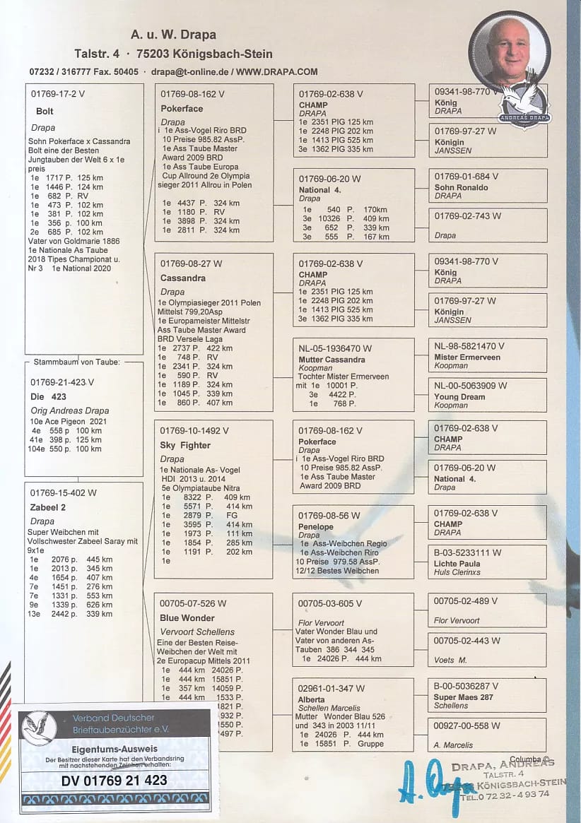 DV 1769-21-423 M orig. A.u.W. Drapa, loc 10 AS 2021, nepot Pokerface, Casandra