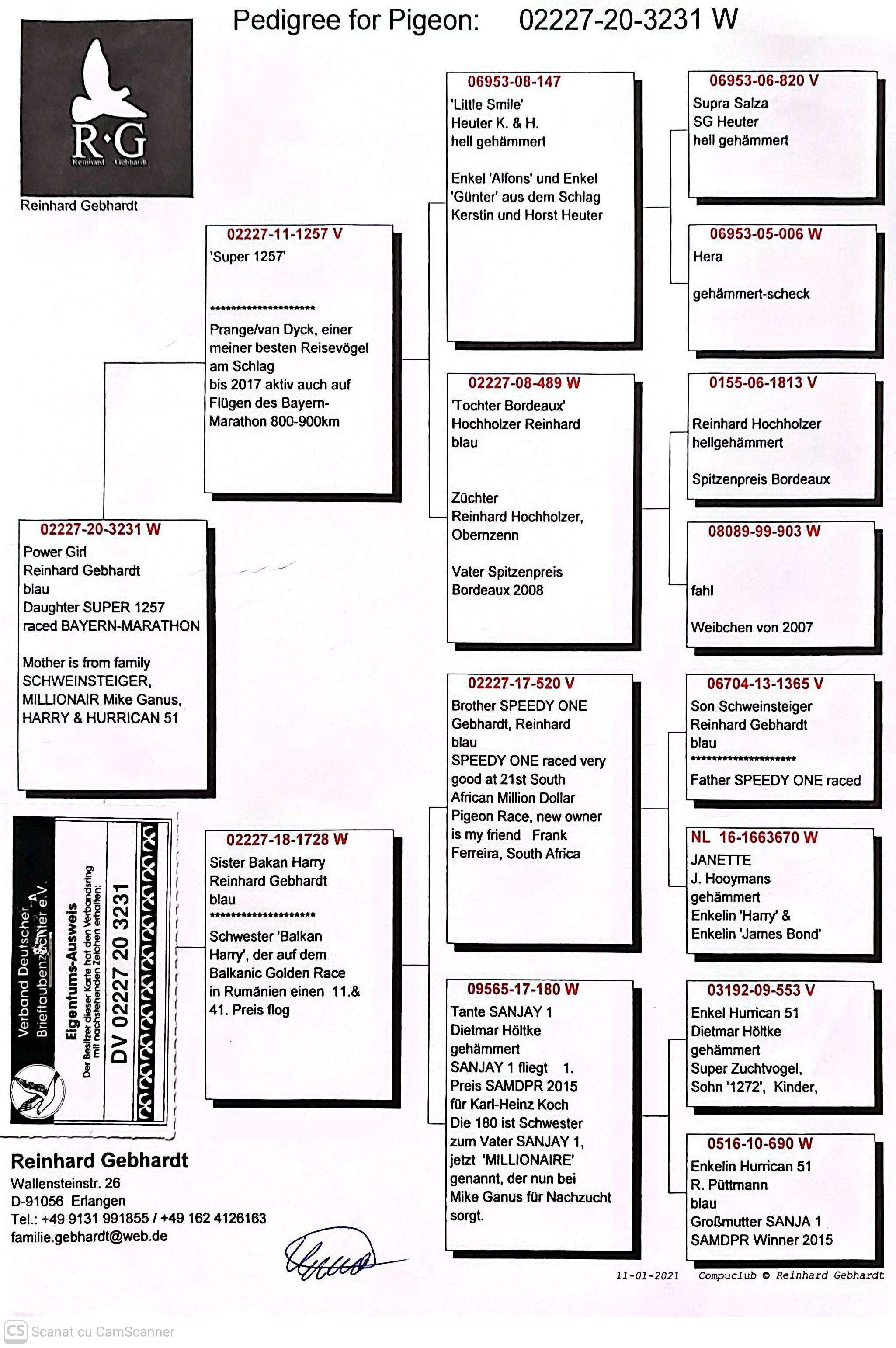 DV 2227-20-3231 F orig. Reinhard Gebhardt, linie Hurrican 51, Harry