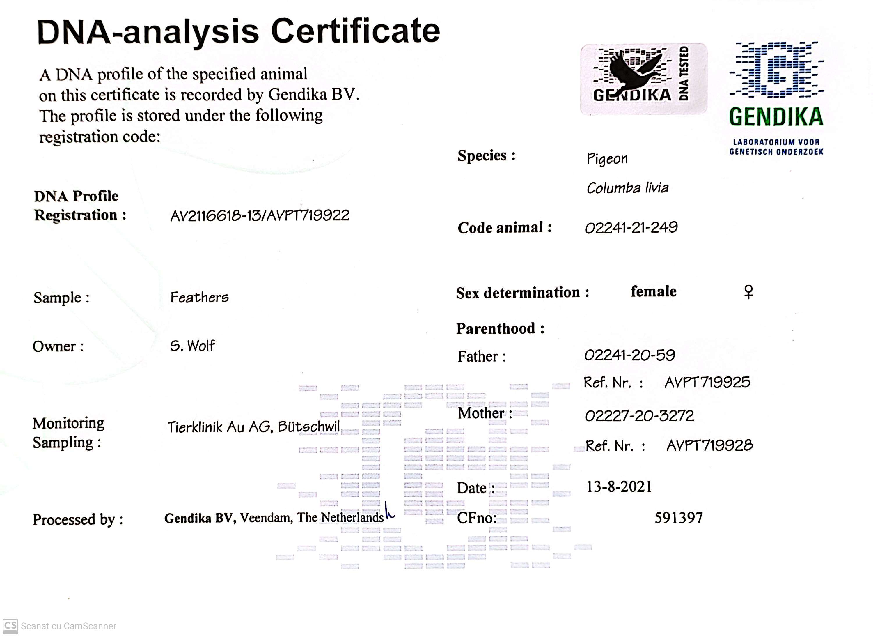 DV 2241-21-249 F orig. Simon Wolf, nepoata loc 2 Victoria Falls OLR  2022, linie Romario