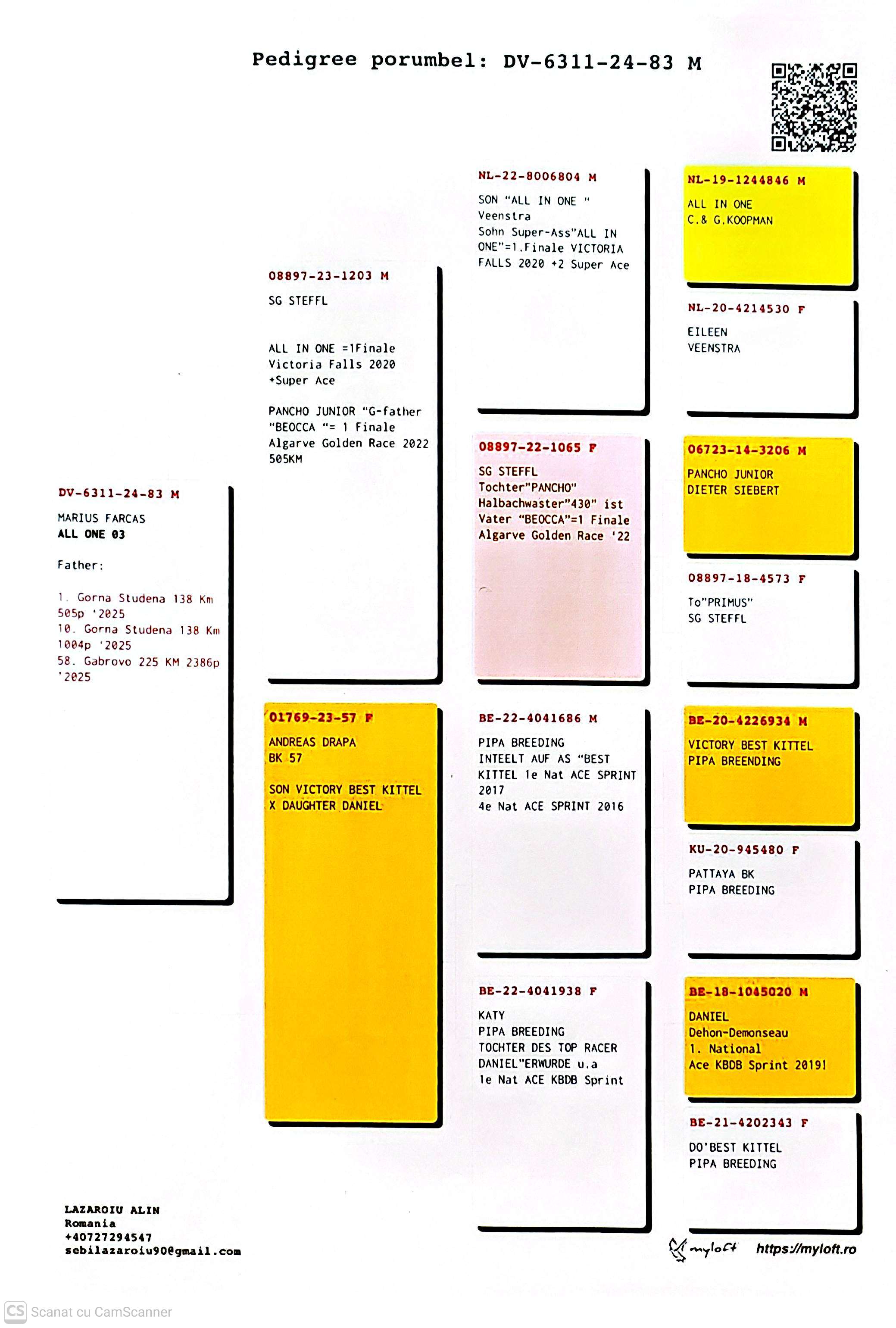 DV 6311-24-83 M Tata loc 1 Gorna Studena 138Km, linie BK, Daniel
