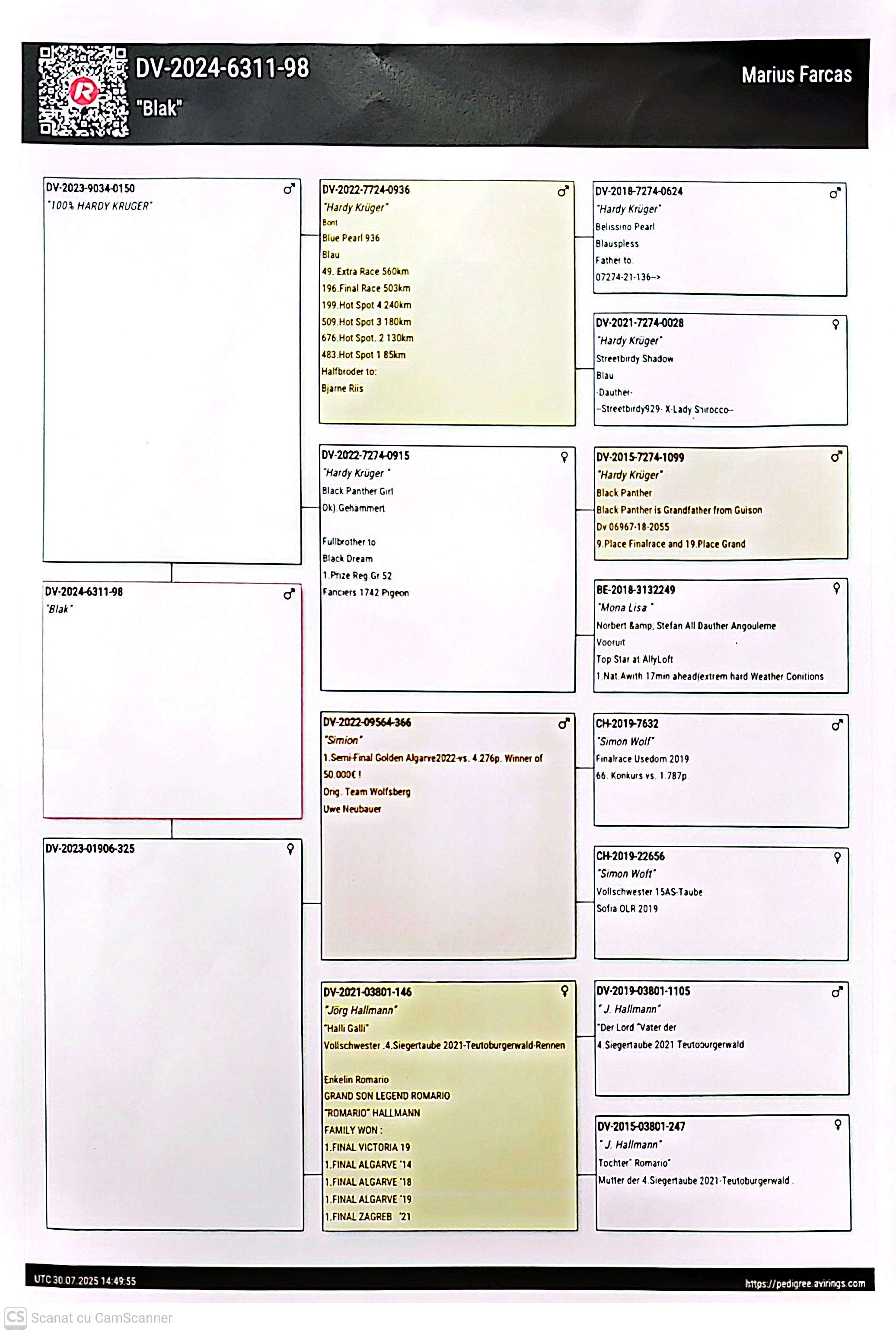 DV 6311-24-98 M org. Marius Farcas, nepot loc 1 Semi-Finala Algarve 2022