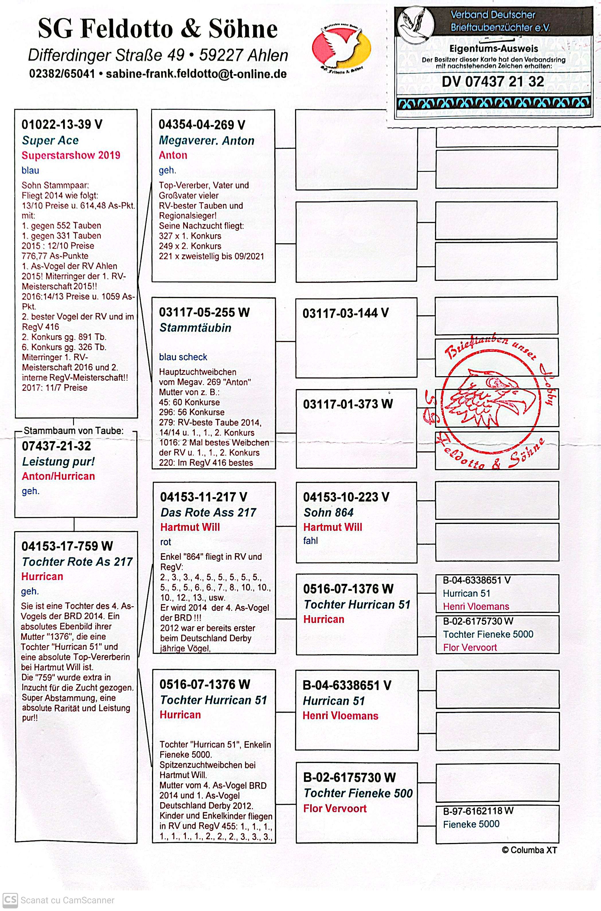 DV 7437-21-32 M orig. SG Feldotto & Sohne, fiu Super AS, loc 1 AS RV Ahlen 2015