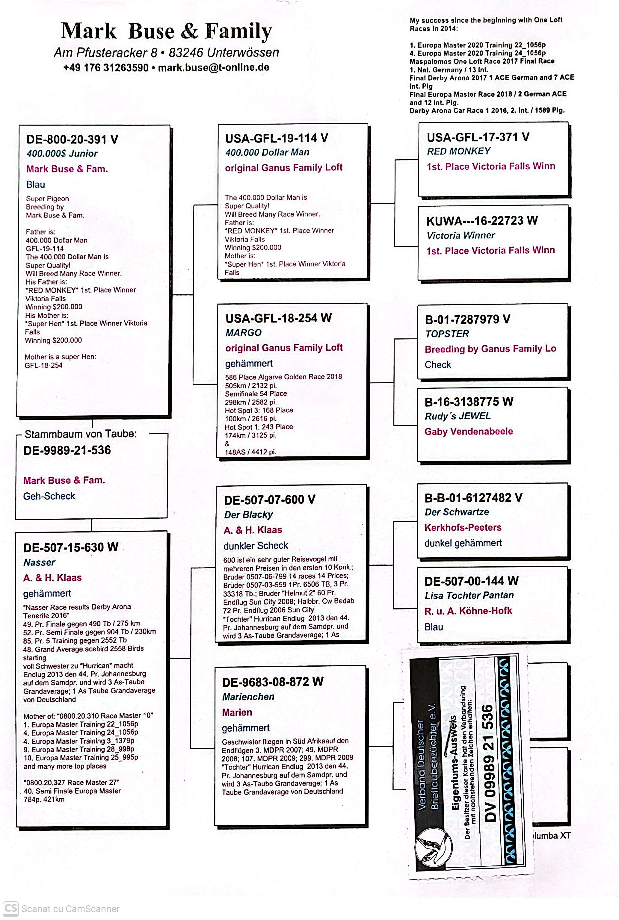 DV 9989-21-536 M orig. Mark Buse, linie Red Monkey, Victoria Winner, loc 1 Victoria Falls