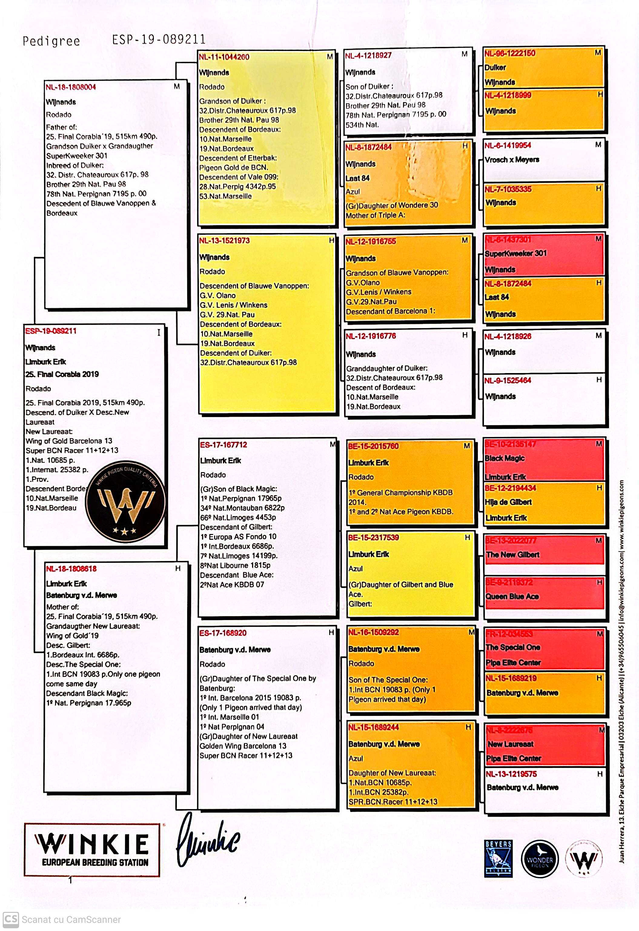 ESP 89211-19 F orig. European Breeding Station, loc 25 Finala Corabia 2019 515Km 490p
