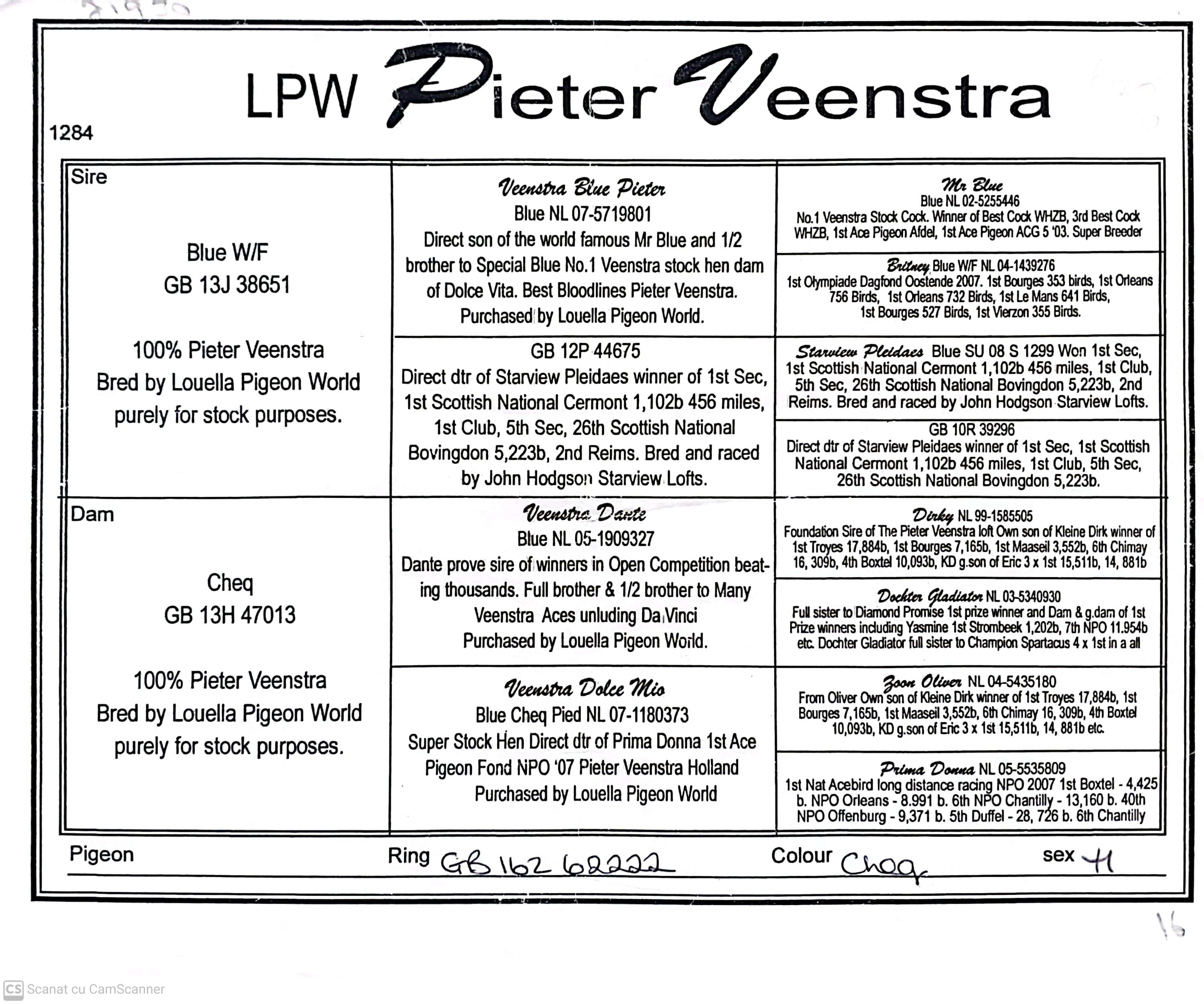 GB 62222-16 100% Piter Veenstra, linie Prima Dona, loc 1 National AS Fond NPO 2007