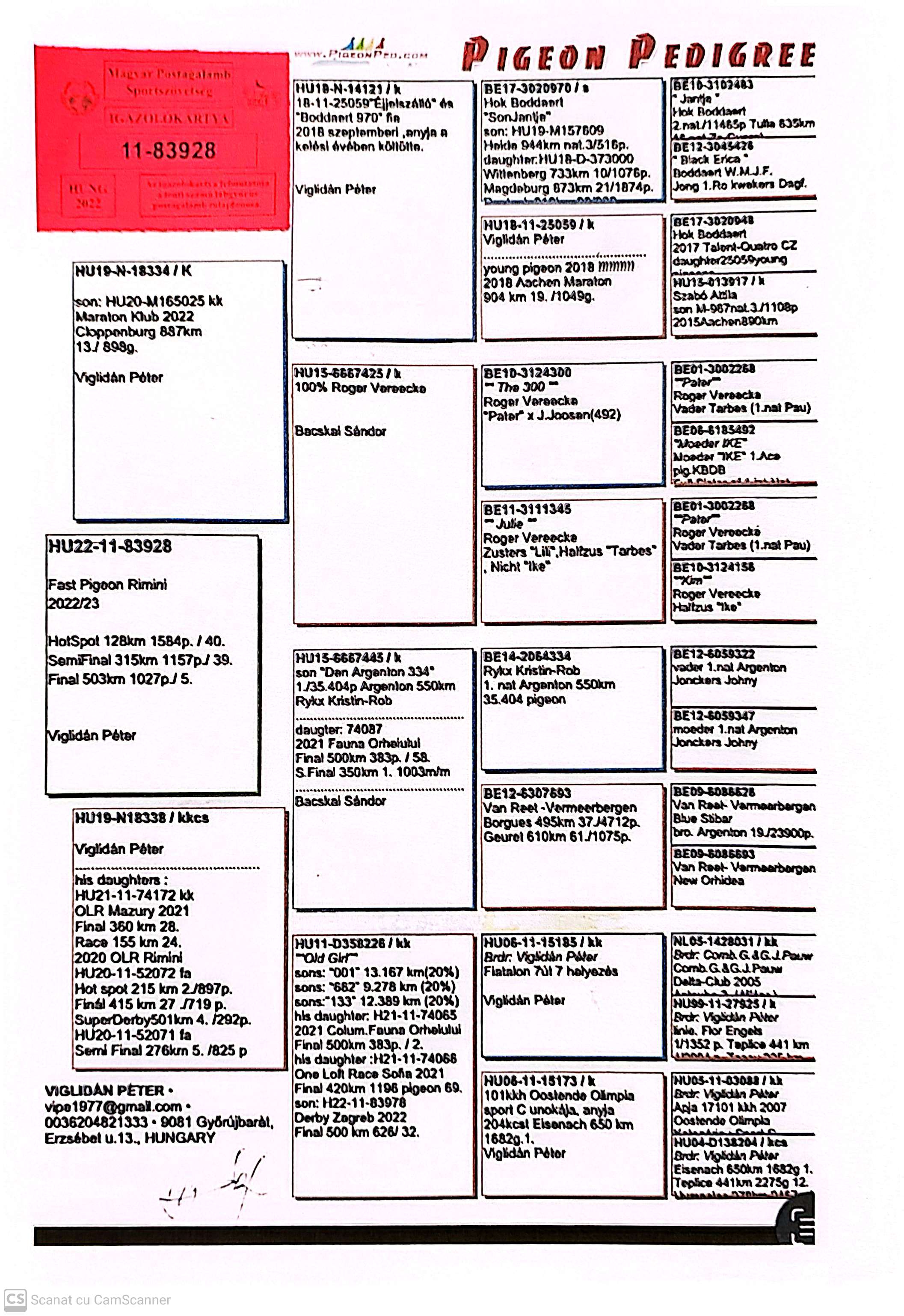 HU 22-11-83928 M orig. Viglidan Peter, loc 5 Finala Rimini 503Km 1027p.
