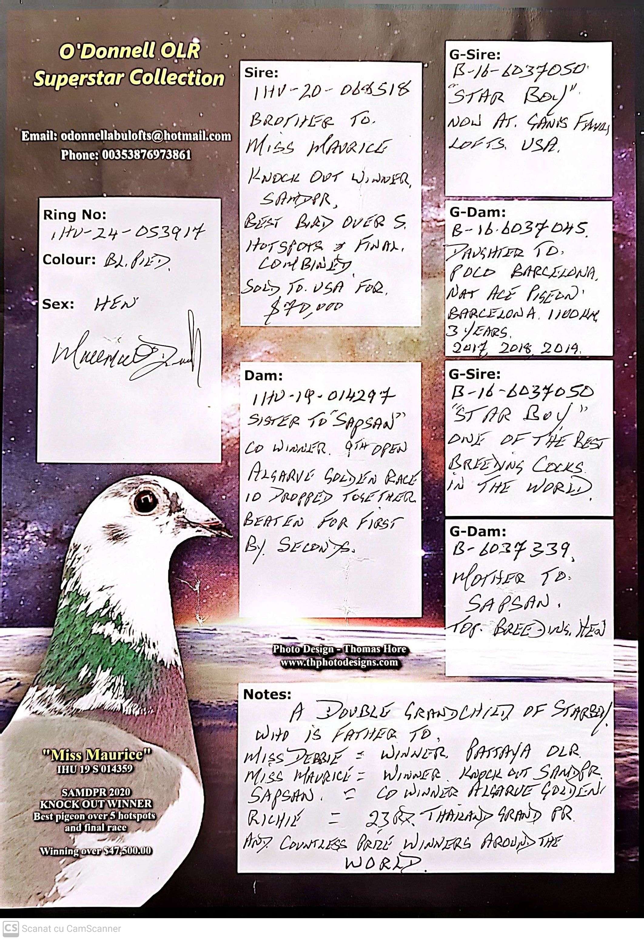 HU 53917-24 M orig. O'Donnell OLR, nepot Miss Maurice