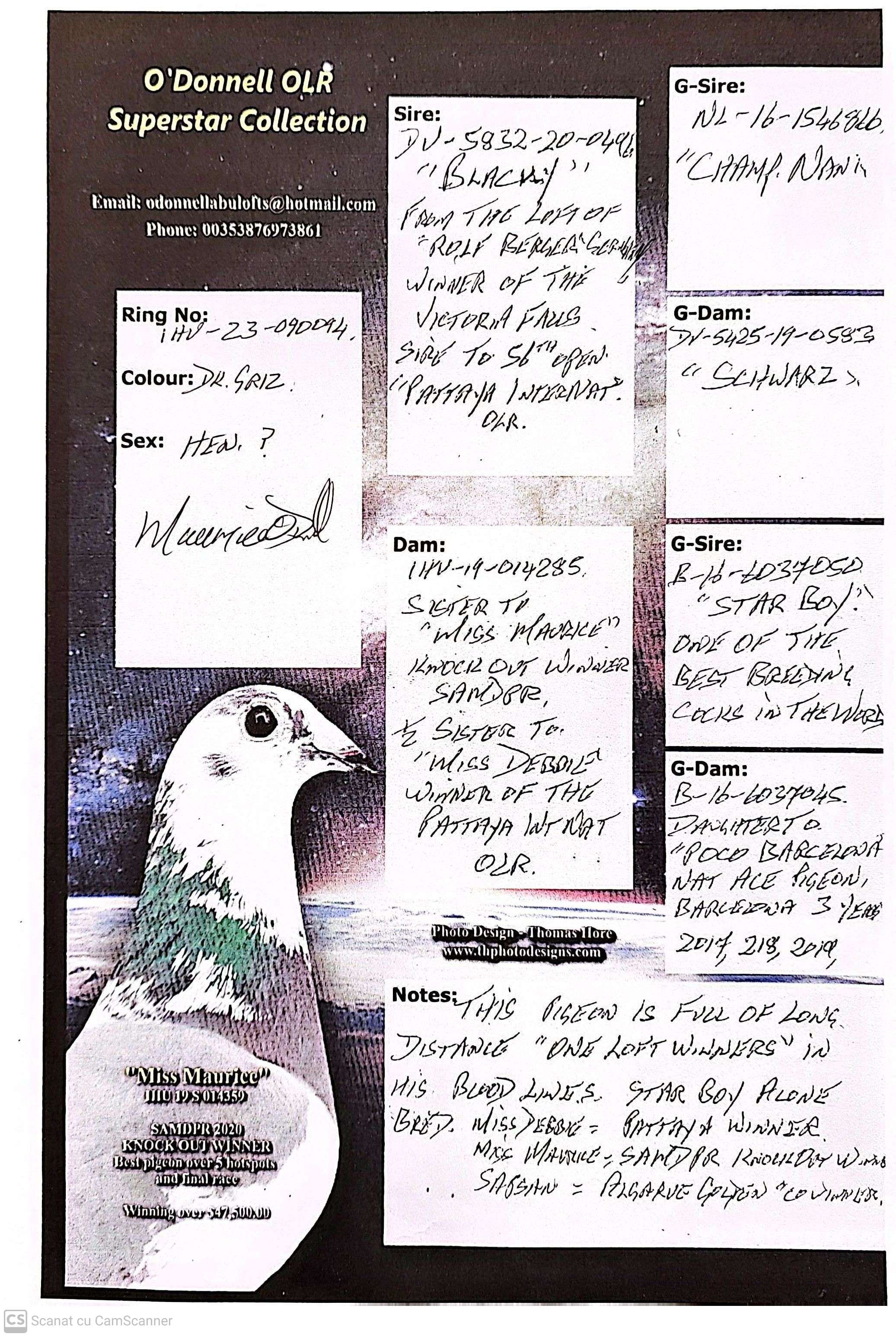 HU 90094-23 M orig. O'Donnell OLR, nepot Miss Maurice