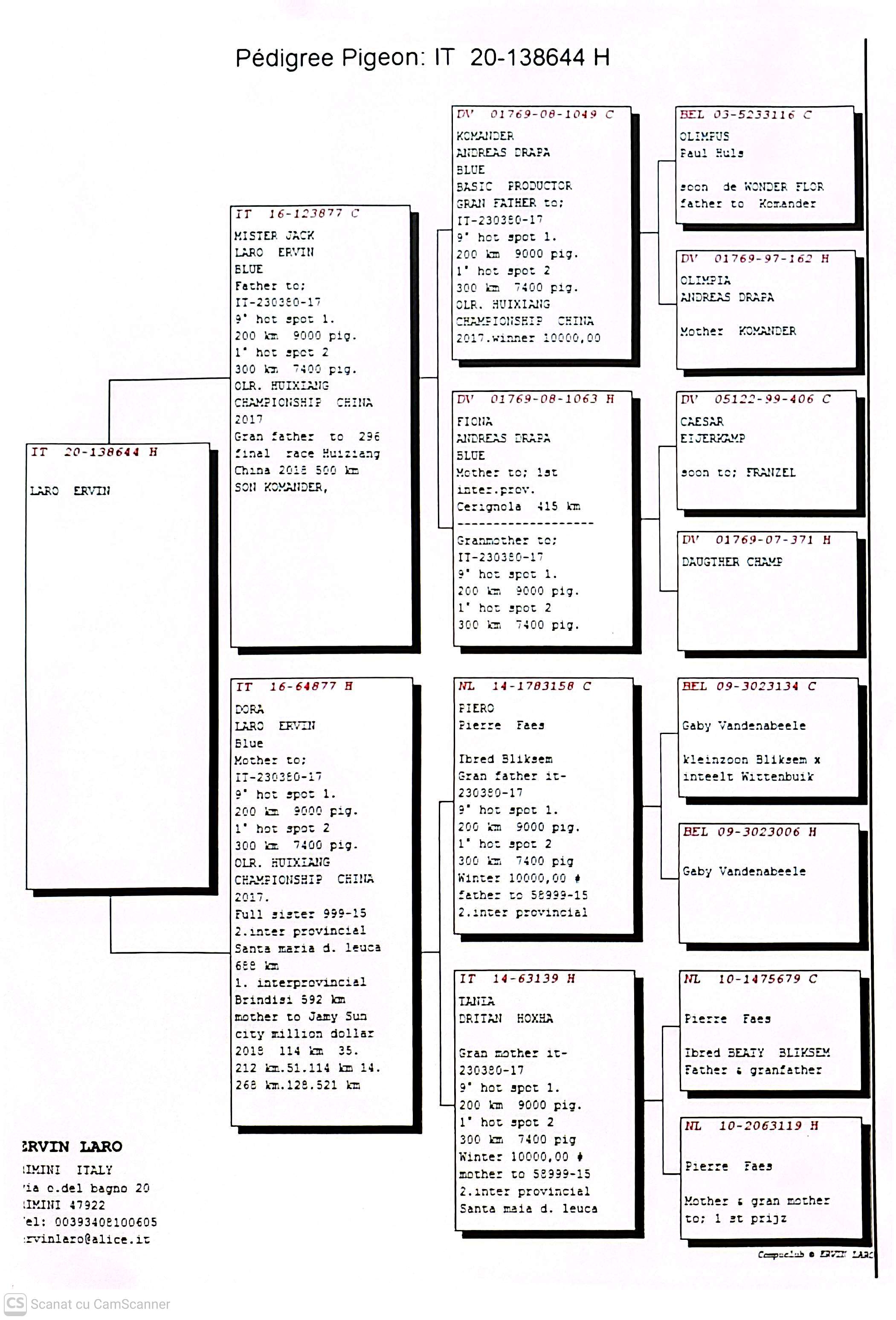 IT 138644-20 F orig. Laro Ervin, nepoata loc 2 Inter.Prov. Santa Maria 688Km