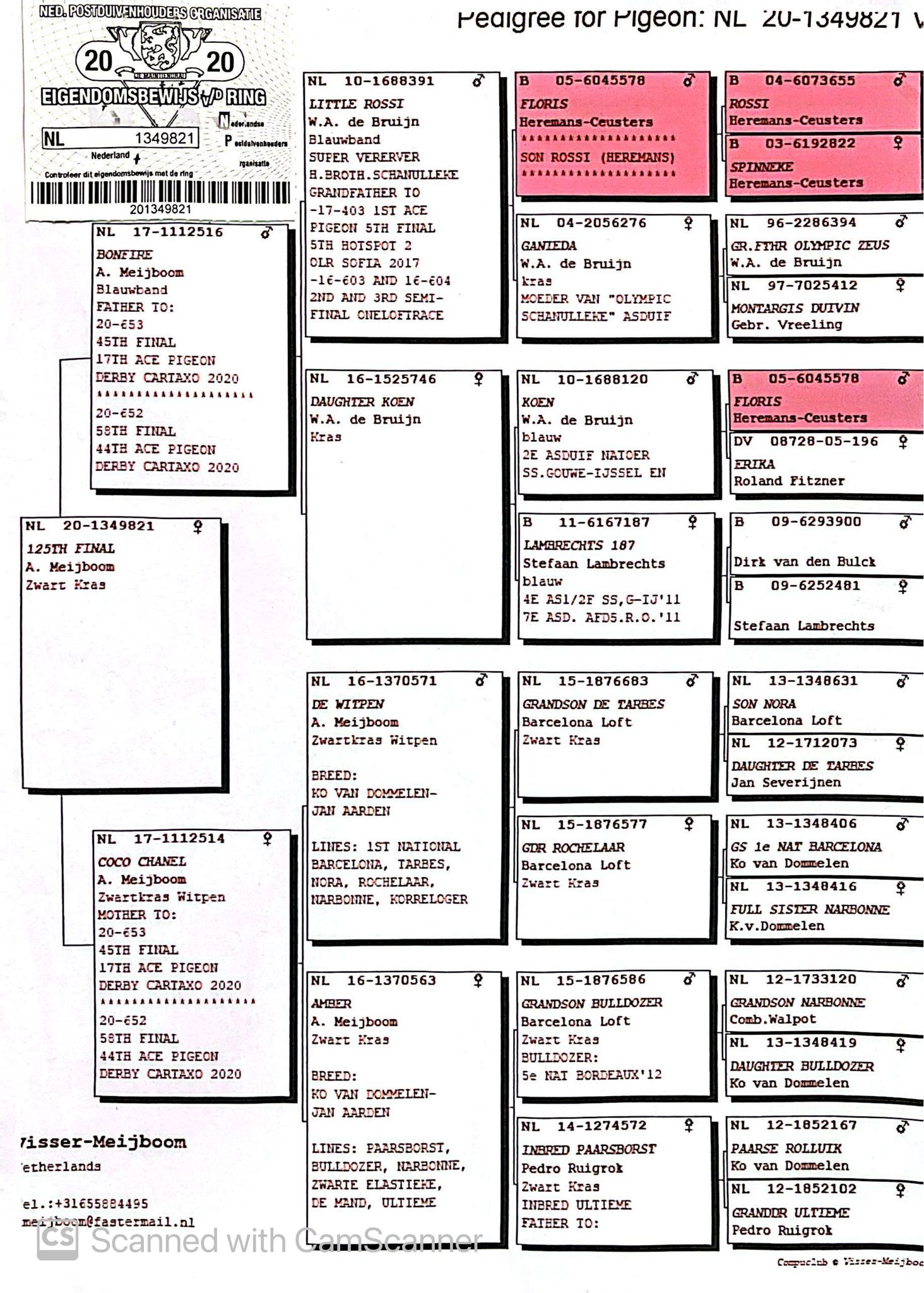 NL 1349821-20 M orig. Visser - Meijboom, frate loc 17 AS Derby Cartaxo 2020