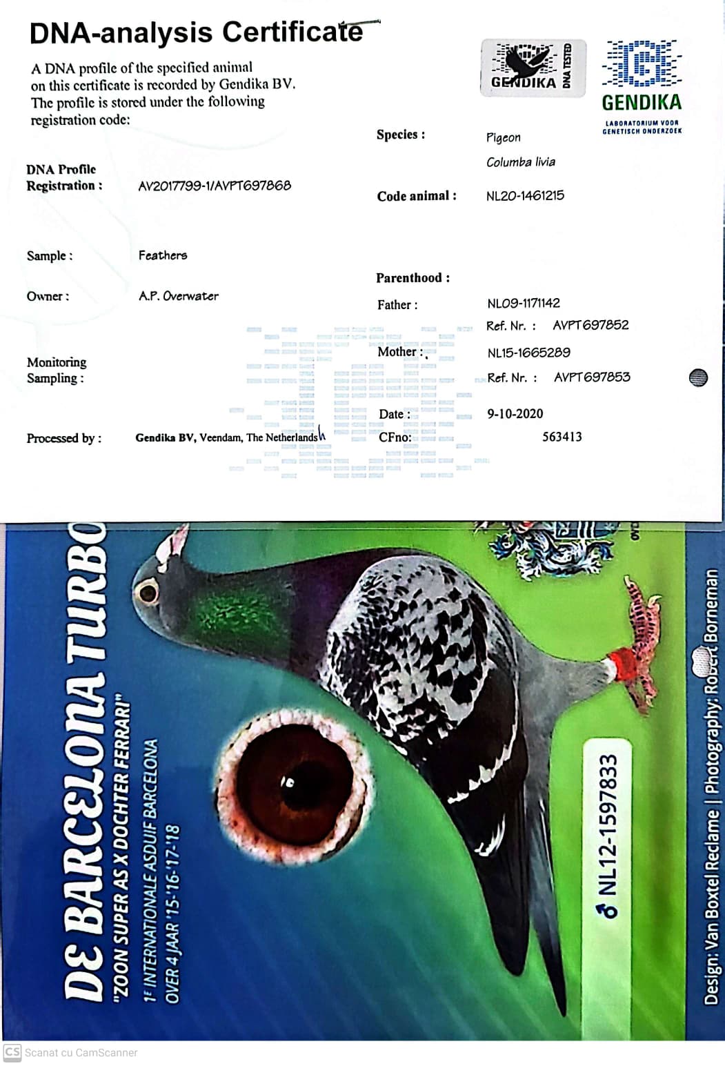 NL 1461215-20 M orig. A.P. Overwater, fiu Miss Turbo Dax, loc 1 Nat. Dax 2.131p