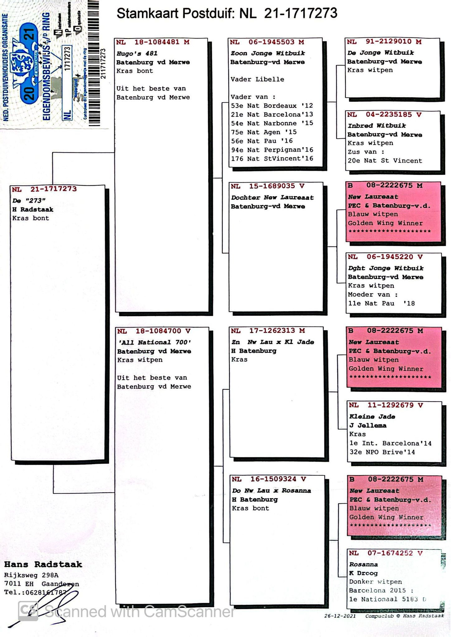 NL 1717273-21 M orig. Hans Radstaaak, consangvin New Laureaat