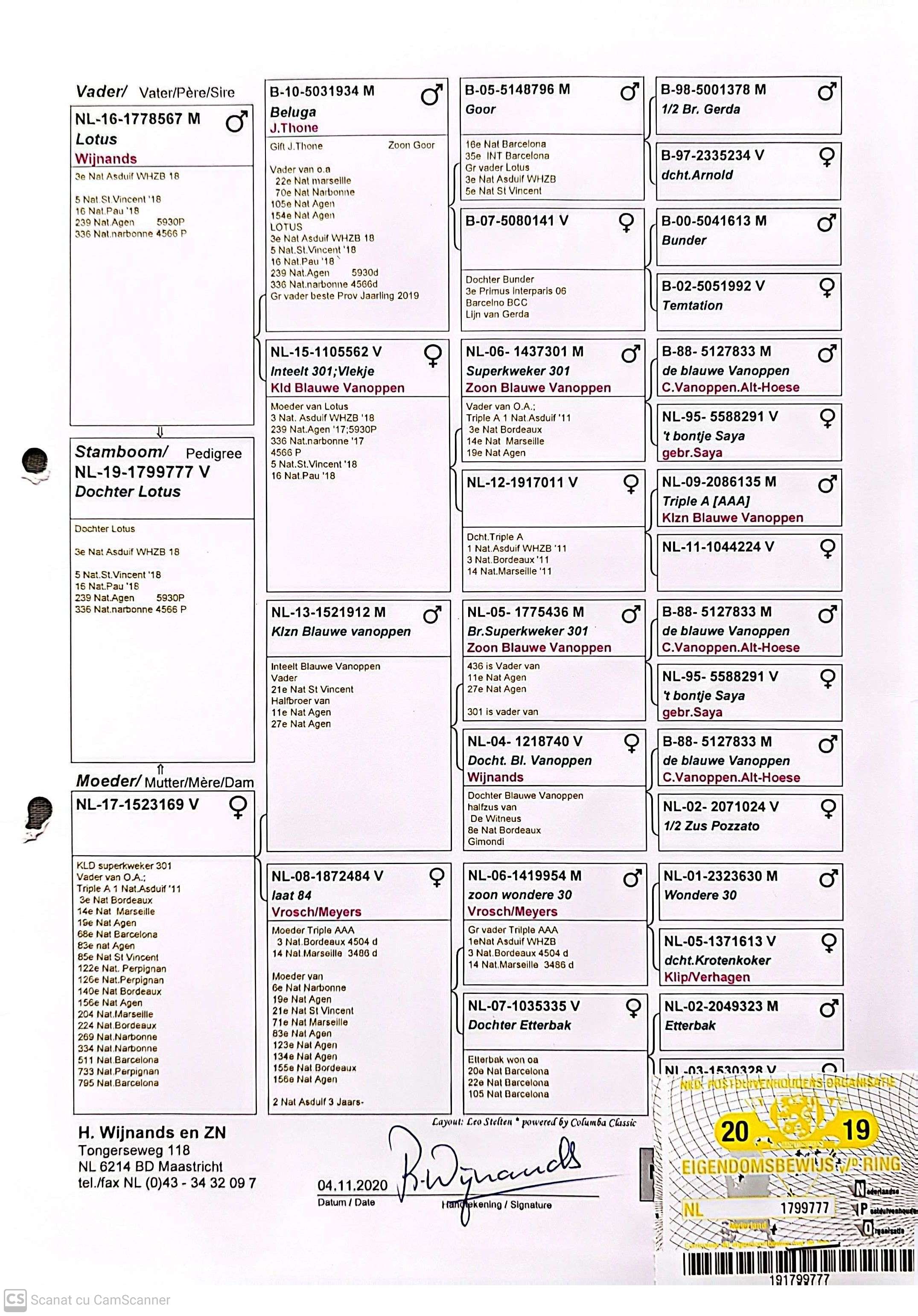 NL 1799777-19 M orig. H. Wijnands & Zn, fiica Lotus, loc 3 National AS WHZB 2018