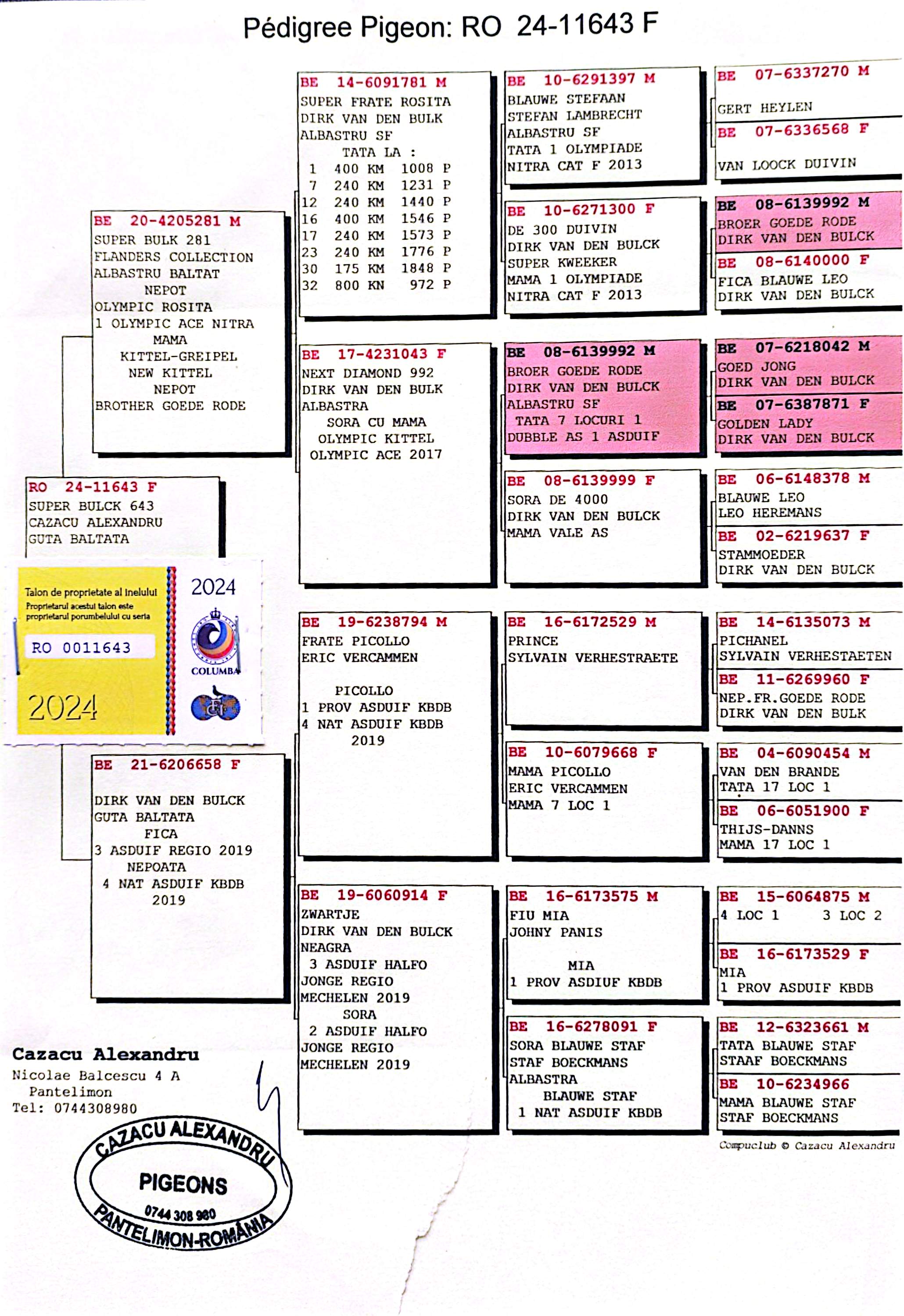 RO 11643-24 F, orig. Cazacu Alexandru, linie Olympic Rosita