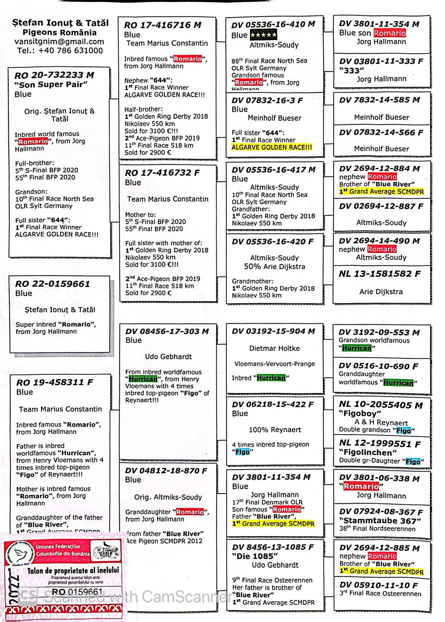RO 159661-22 M orig. Stefan Ionut + Tatal, linie Romario