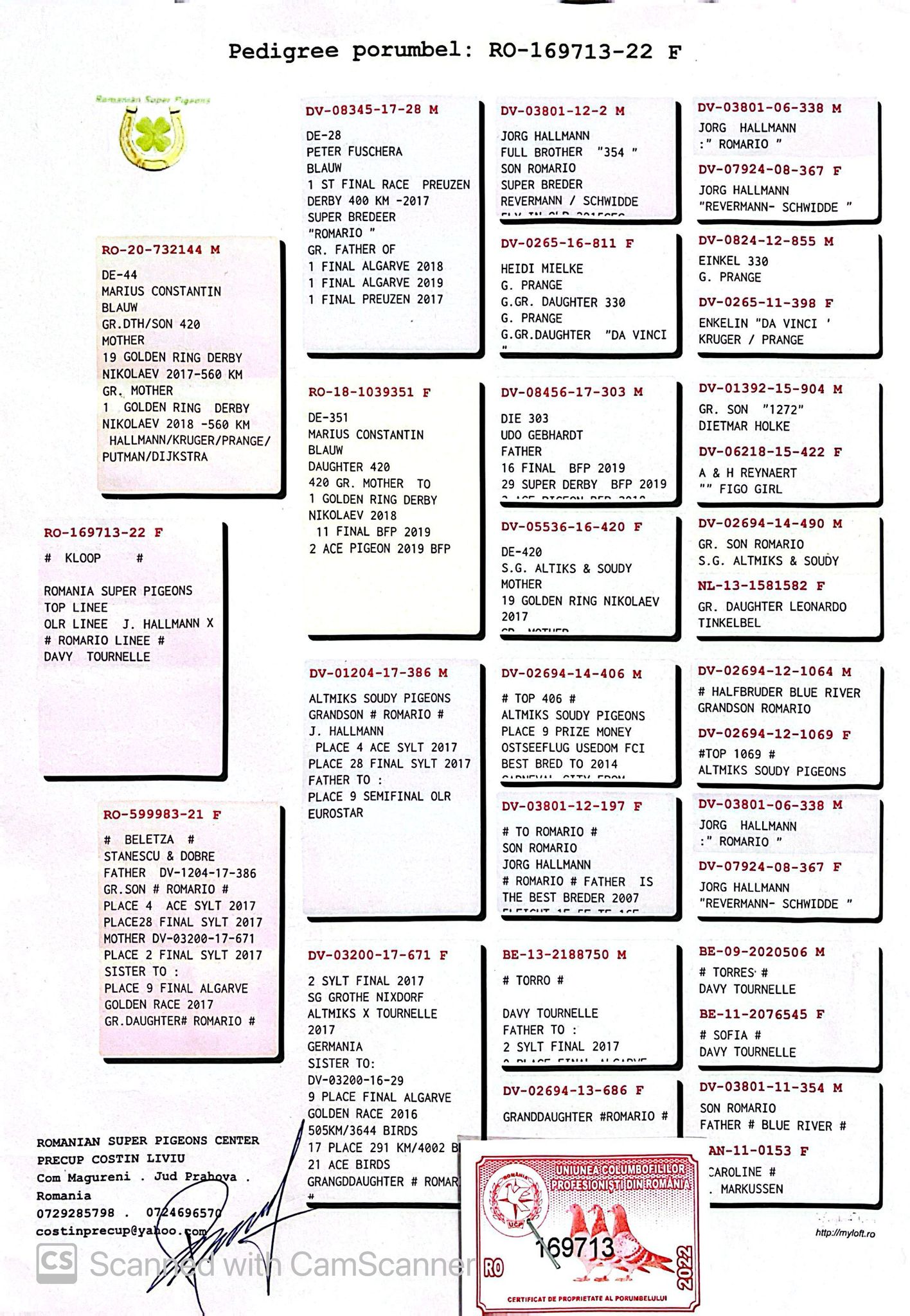RO 169713-22 F orig. Romania Super Pigeons, linie Romario