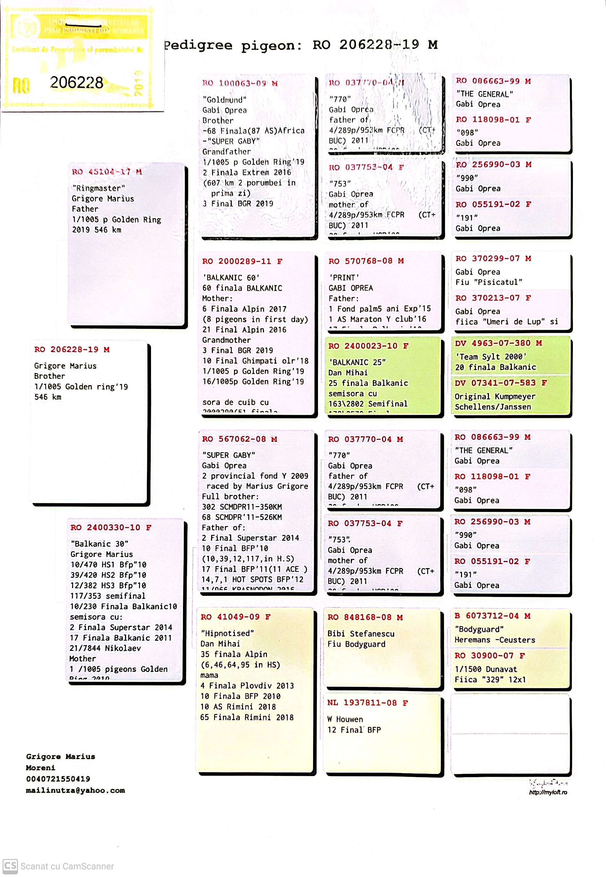 RO 206228-19 M orig. Grigore Marius, frate loc 1 Golden Ring 2019 