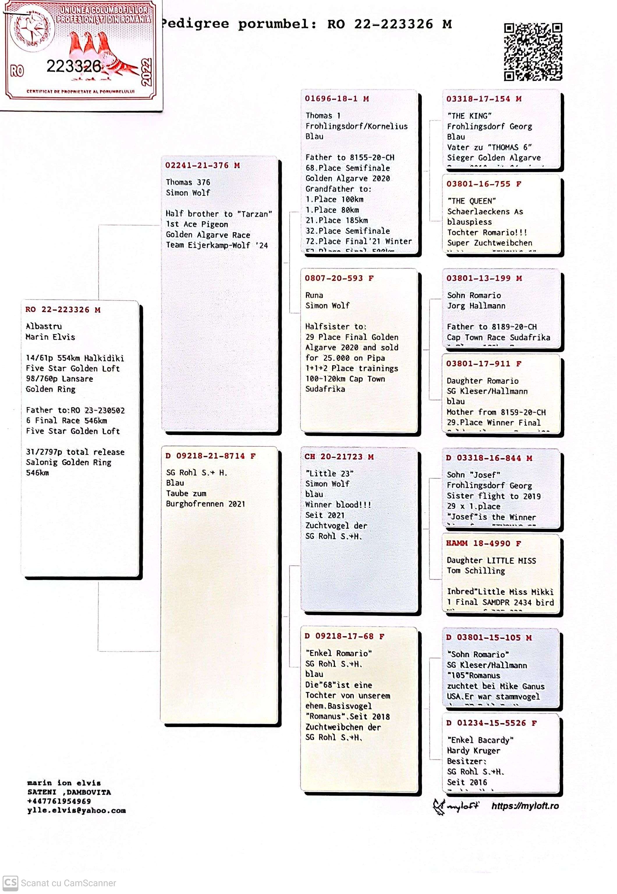 RO 223326-22 M orig. Marin Elvis, Tata loc 6 Finala Five Star Golden Loft 2023