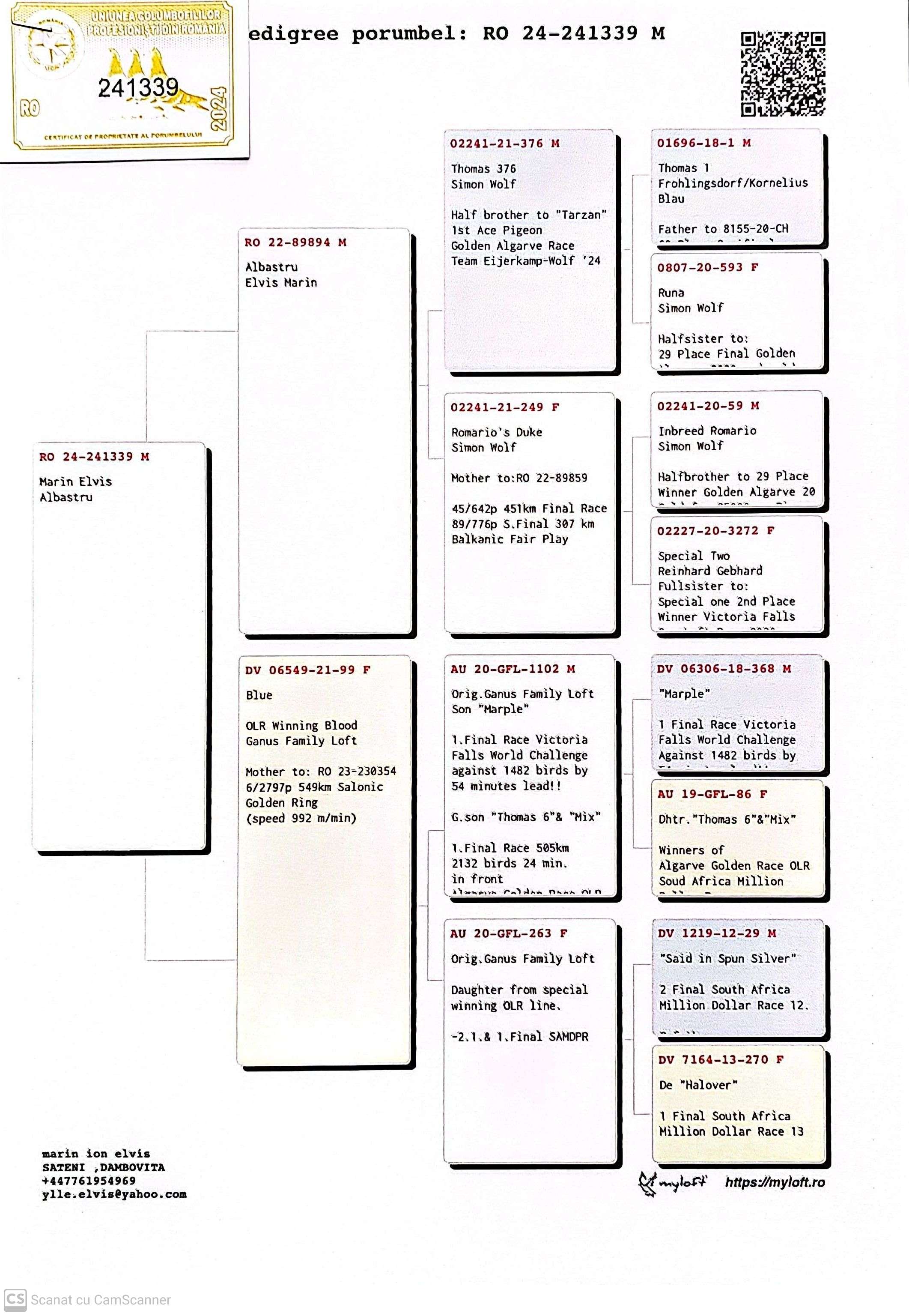 RO 241339-24 M orig. Marin Elvis, semi-frate loc 6 Salonic Golden Ring 2023