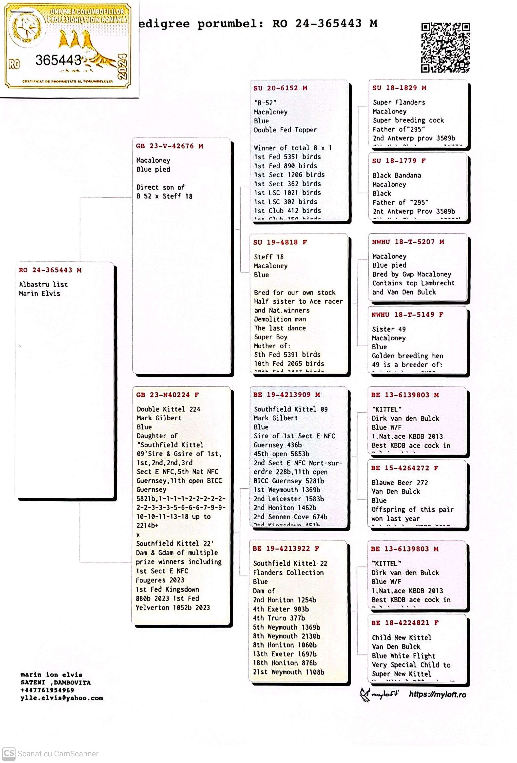 RO 356443-24 M orig. Marin Elvis, nepot B-52 8x loc 1, linie Kittel