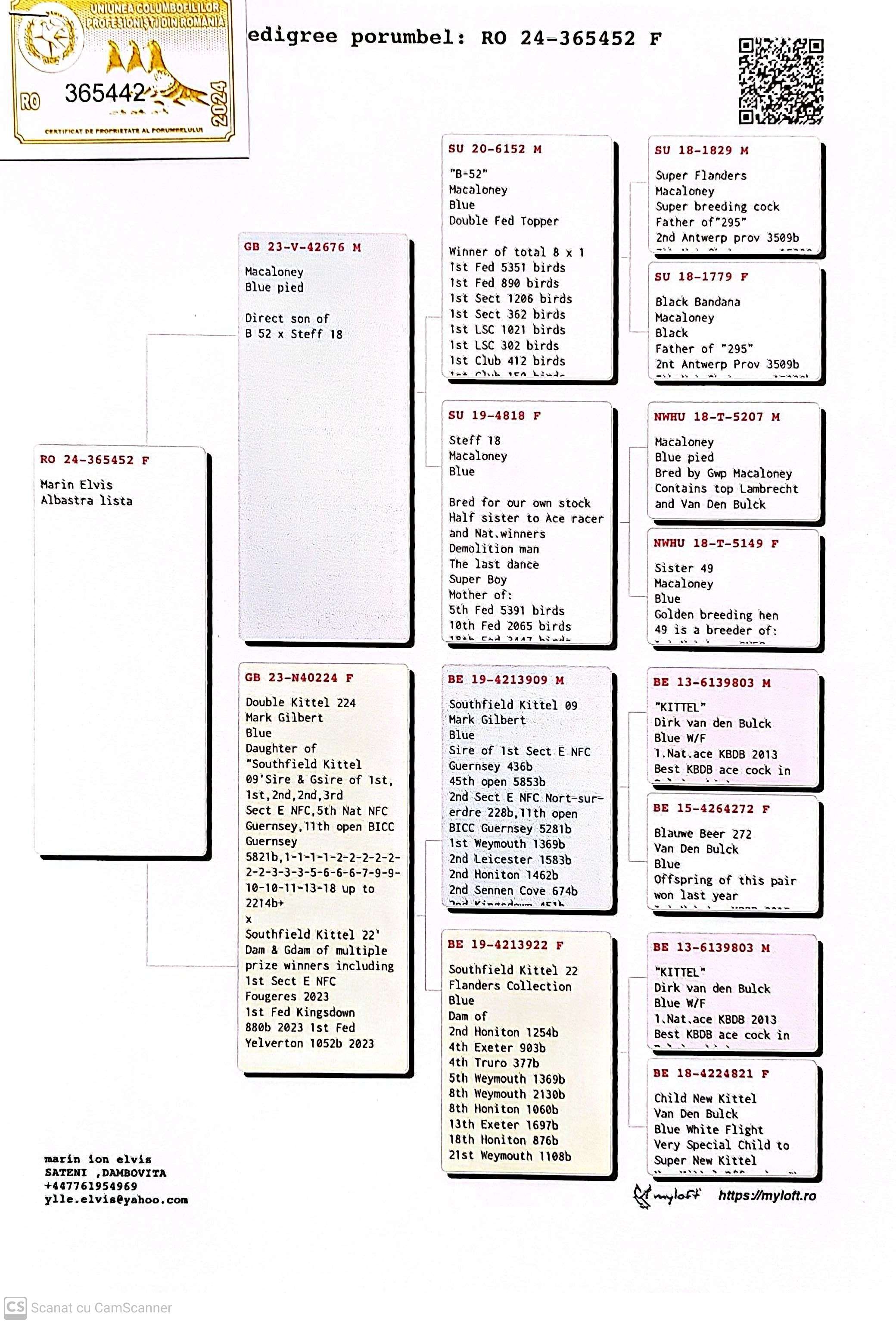 RO 365452-24 F orig. Marin Elvis, nepoata B-52 8x loc 1, linie Kittel