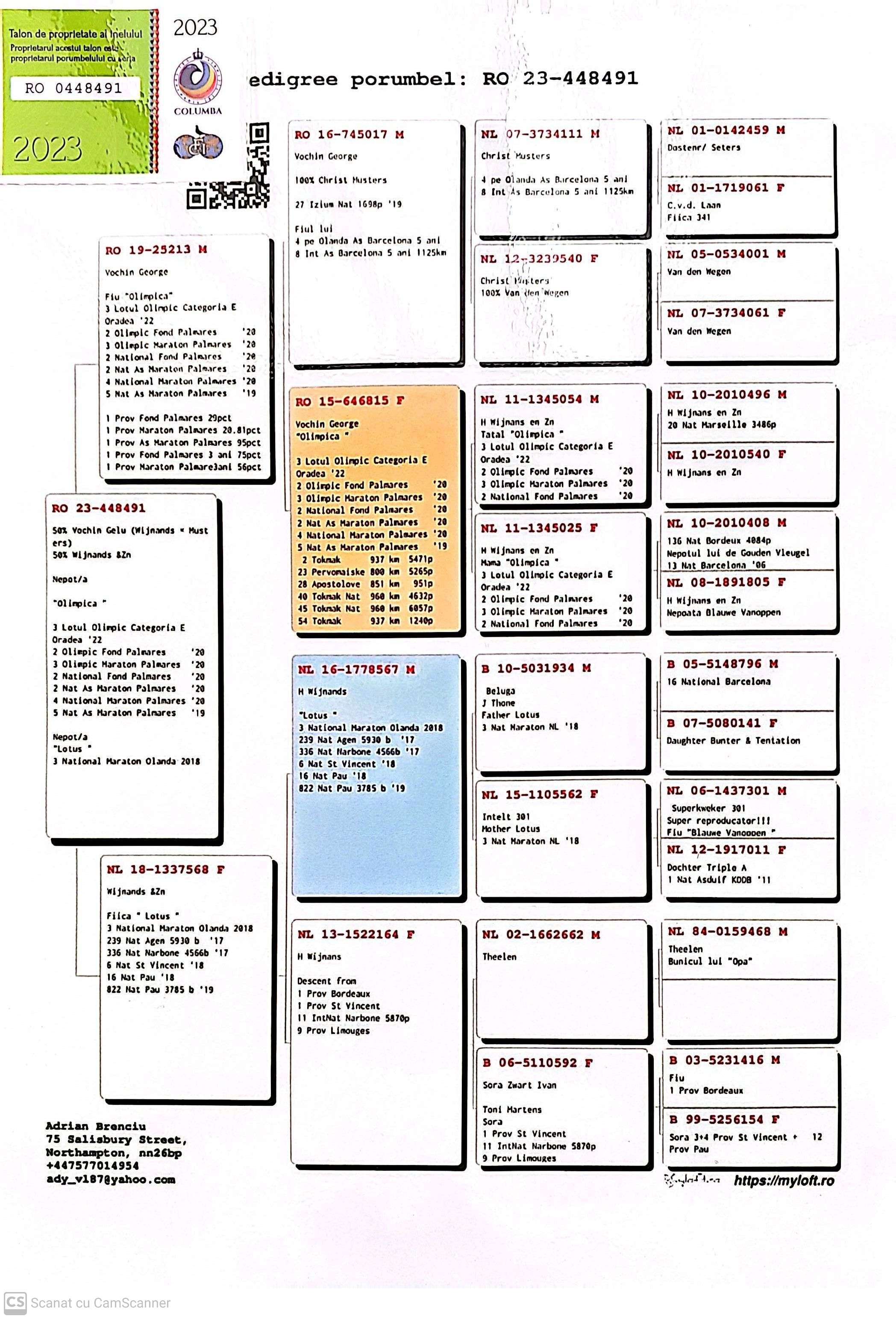 RO 448491-23 F orig. Adrian Brenciu, Nepoata Olimpica, loc 3 Lotul Olimpic Cat. E Oradea '22