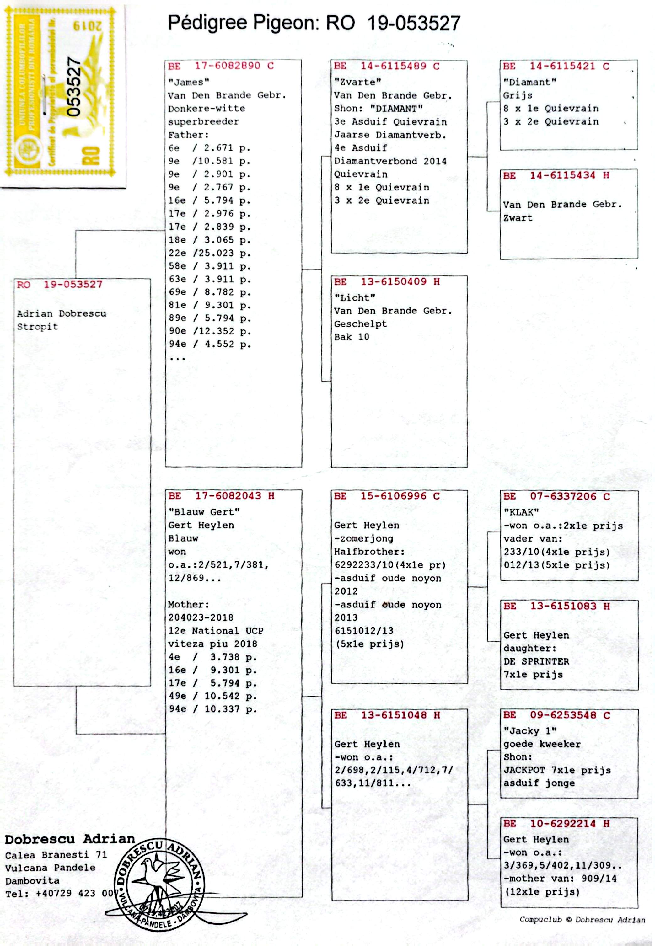RO 53527-19 F, orig. Adrian Dobrescu, semi-sora loc 12 Nat.UCP Viteza Pui'18