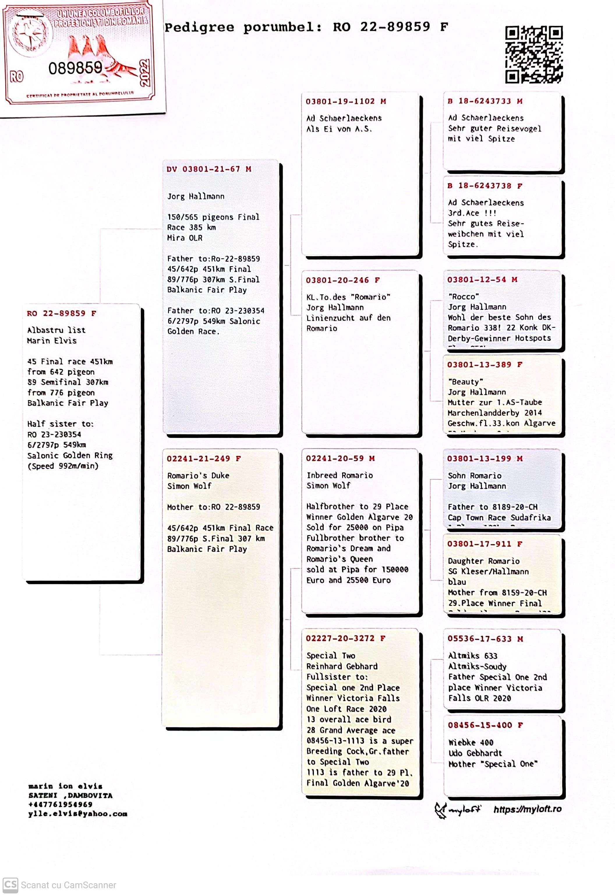 RO 89859-22 F orig. Marin Elvis, loc 45 Finala BFP 451Km 642p