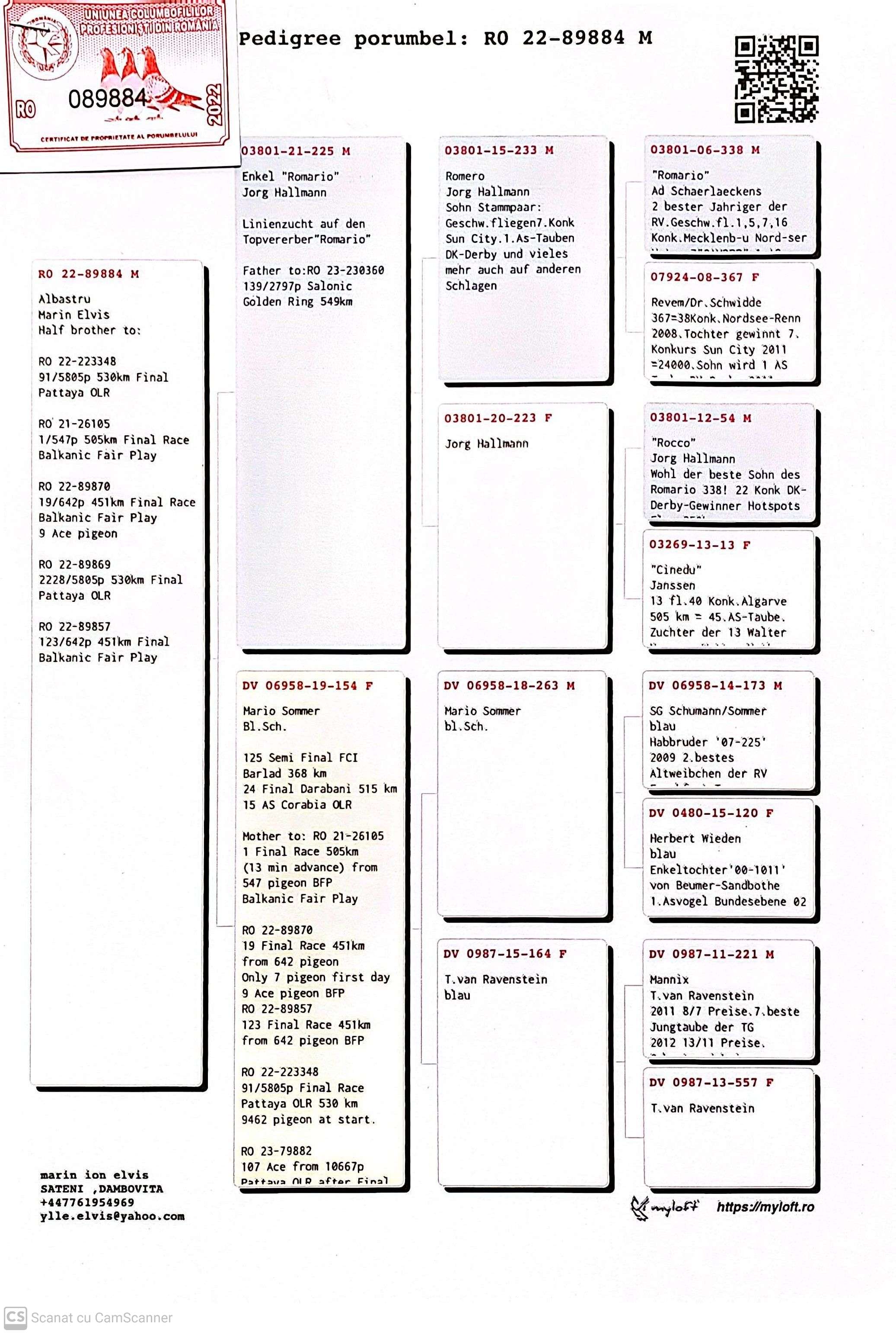 RO 89884-22 M orig. Marin Elvis, semi-frate loc 91 Finala Pattaya OLR 2022, linie Romario