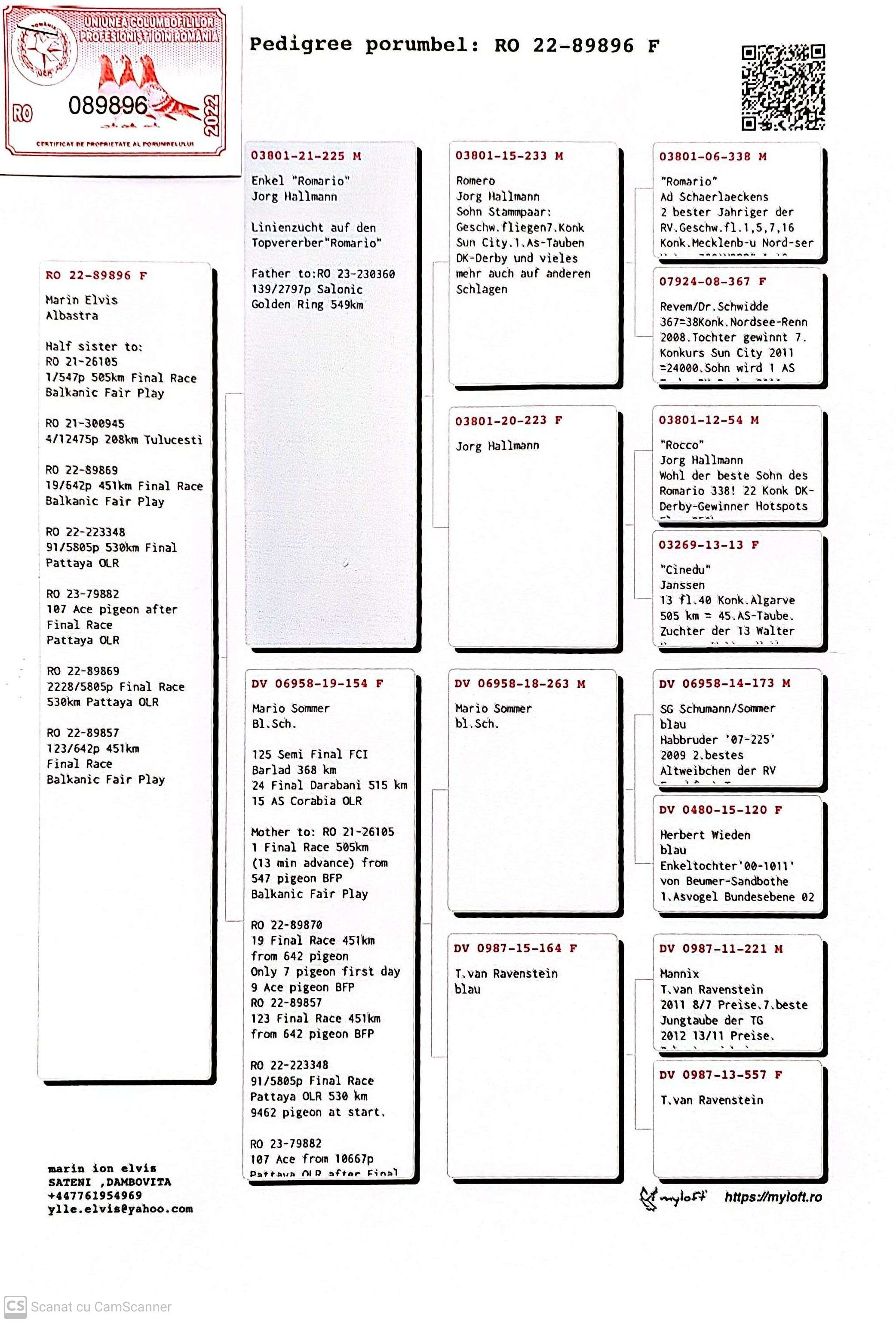RO 89896-22 F orig. Marin Elvis, semi-sora loc 1 FInala BFP, linie Romario